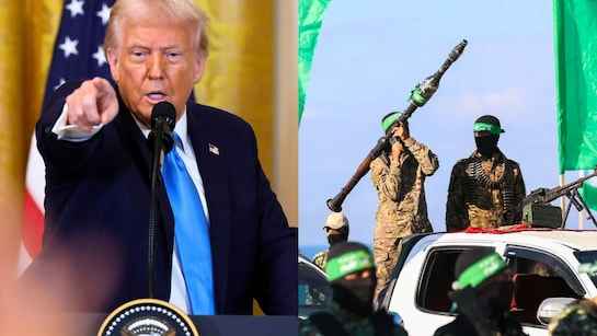 Trump avertit le Hamas et Israël: “Agissez vite, ou bain de sang massif”!