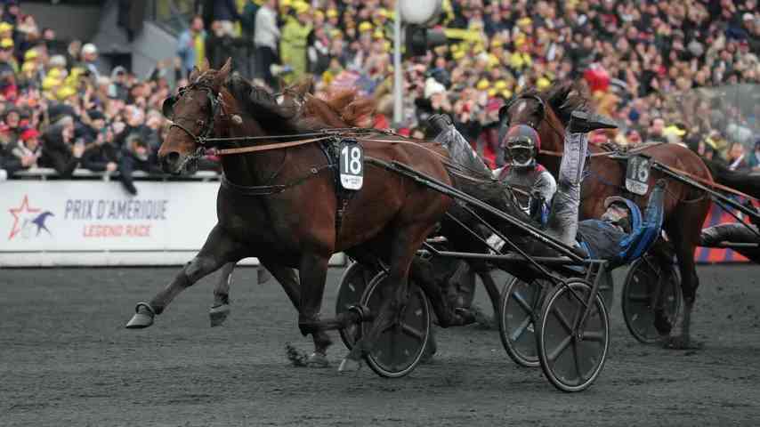 Hippisme : le trotteur Idao de Tillard opéré à deux mois du Prix d'Amérique