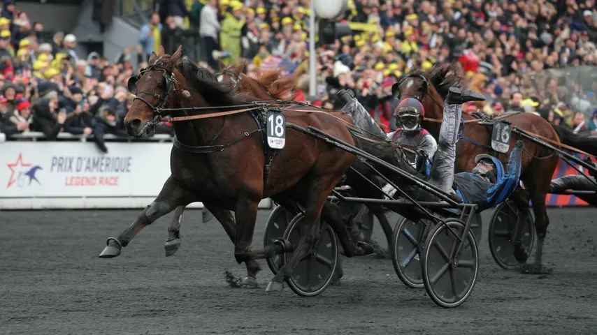 Hippisme : le trotteur Idao de Tillard opéré à deux mois du Prix d'Amérique
