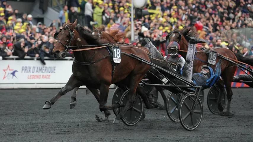 Hippisme : le trotteur Idao de Tillard opéré à deux mois du Prix d'Amérique