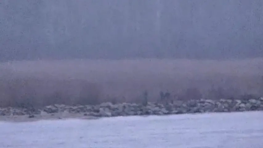 Gardes-frontières russes en Estonie pour motifs flous, images publiées