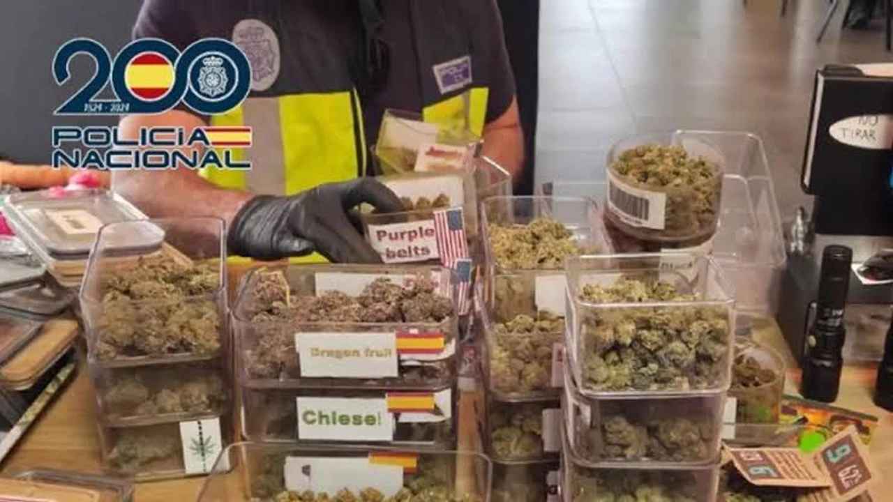 Plus de 1 000 arrêtés lors d'une opération mondiale contre le trafic d'êtres humains