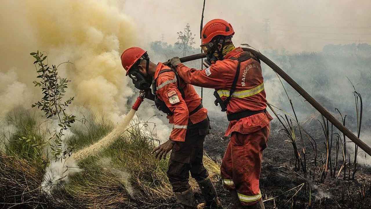 Catastrophe, les incendies persistent, un nuage toxique couvre le pays