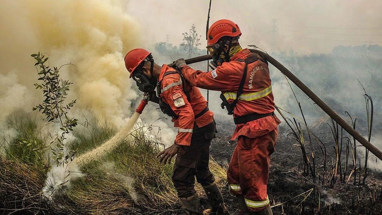 Catastrophe, les incendies persistent, un nuage toxique couvre le pays