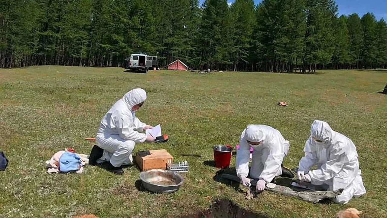 Un autre virus comme le COVID revient-il? Mort mystérieuse en Russie alerte