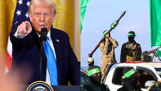 Trump avertit le Hamas et Israël: “Agissez vite, ou bain de sang massif”!
